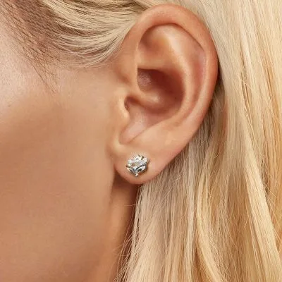 Bông Tai Bạc Nữ đính đá CZ Hình Hồ Ly Vương Miện Aila LILI 106611 2